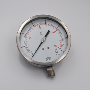 Manómetro .GLIC DN6" 0+11BAR SS316 INF.1/2" ITEC